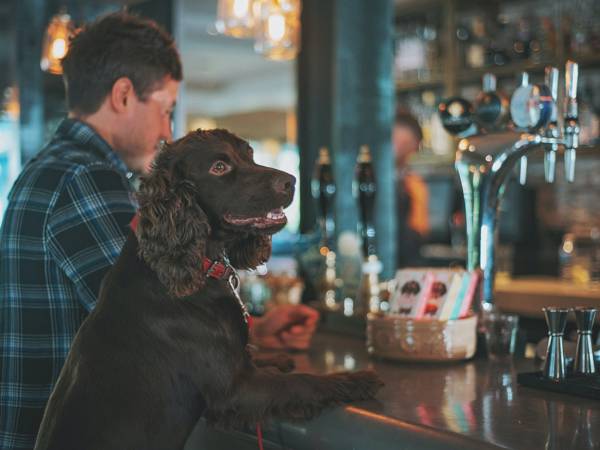 Dog Friendly Eateries